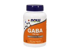 Now Foods GABA 750mg - 100 capsule